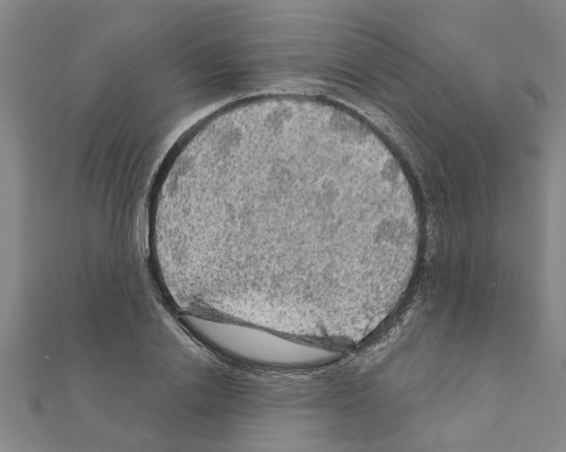 X0000111200838200908121108