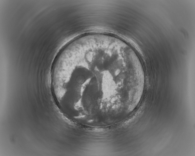 X0000111200839200908121108