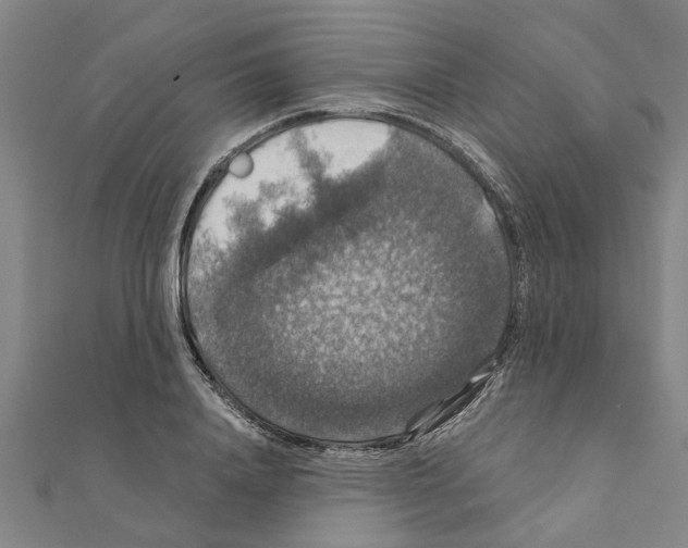 X0000111200840200908121108