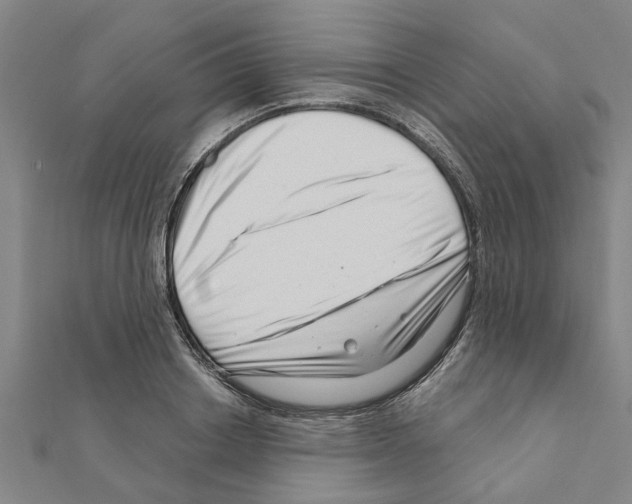 X0000111200842200908121108