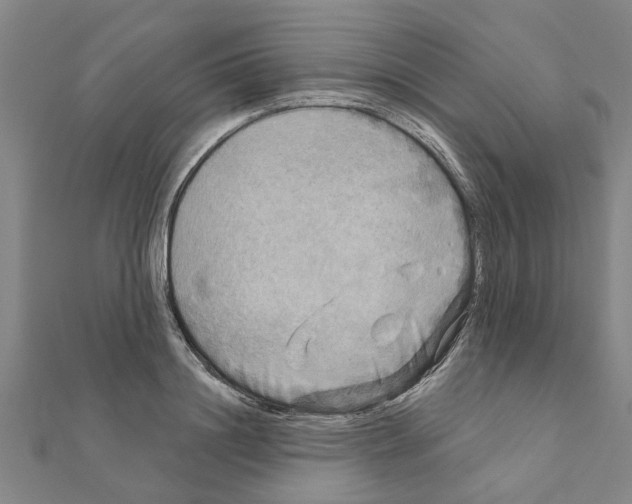 X0000111200844200908121108