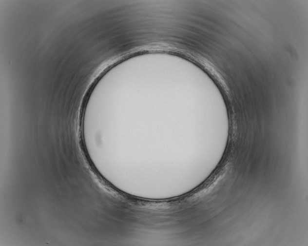 X0000111200845200908121108