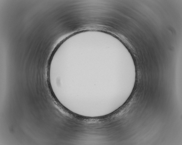 X0000111200846200908121108