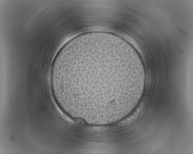 X0000111200847200908121108