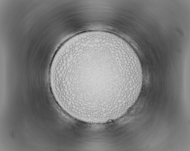 X0000111200848200908121108