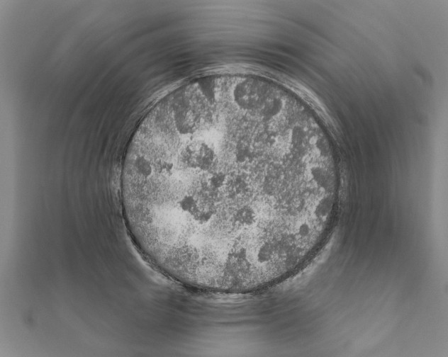 X0000111200849200908121108