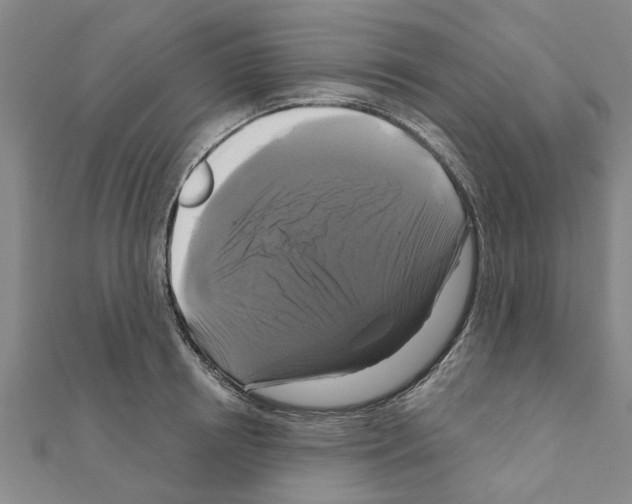 X0000111200850200908121108