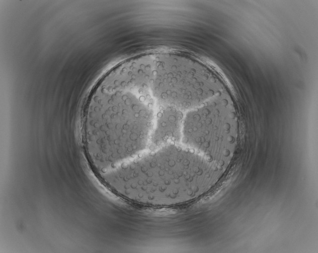 X0000111200851200908121108