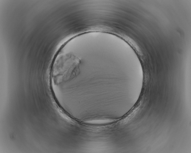 X0000111200854200908121108