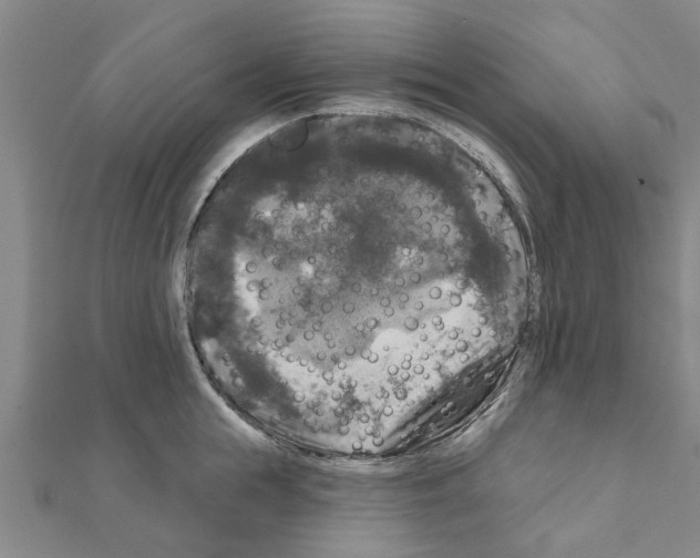 X0000111200855200908121108