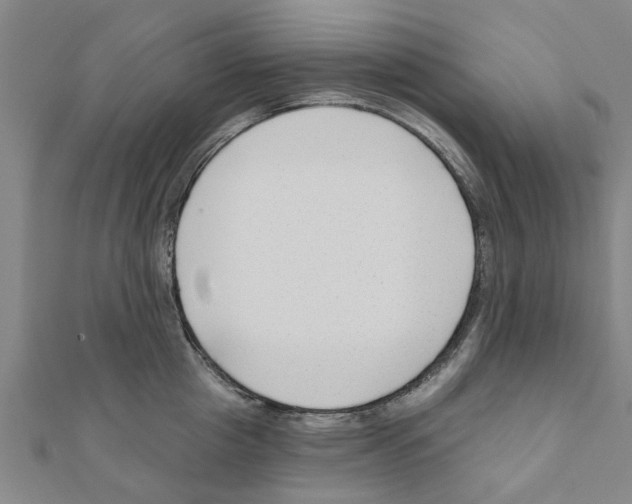 X0000111200857200908121108