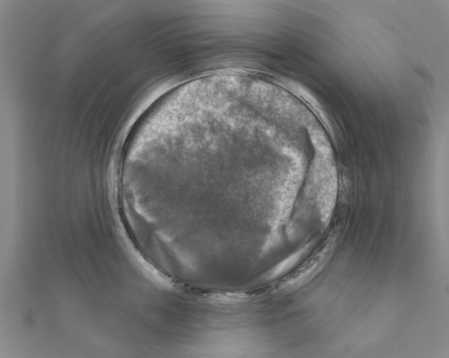 X0000111200859200908121108