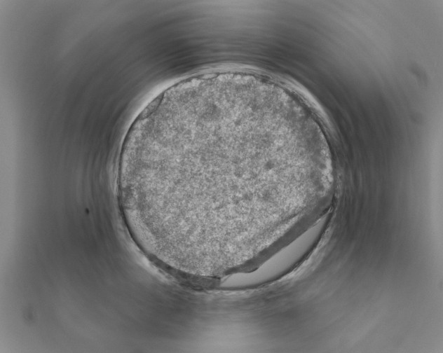 X0000111200860200908121108