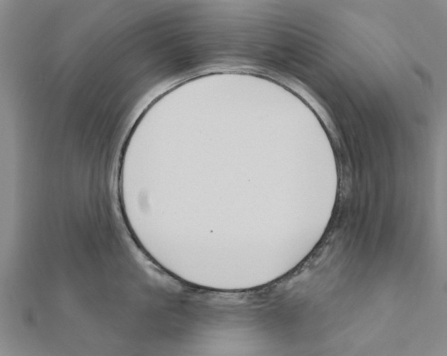 X0000111200861200908121108