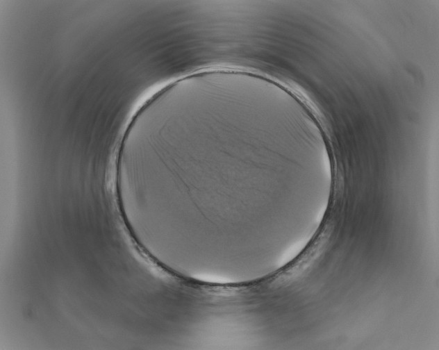 X0000111200862200908121108