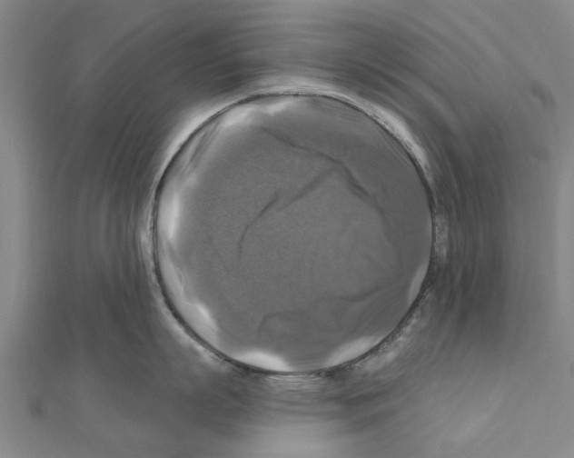 X0000111200863200908121108