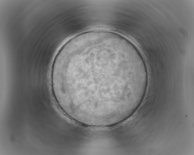 X0000111200864200908121109