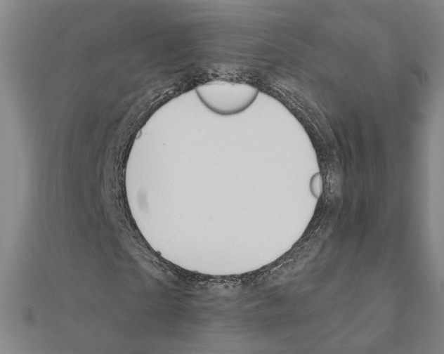 X0000111200865200908121108