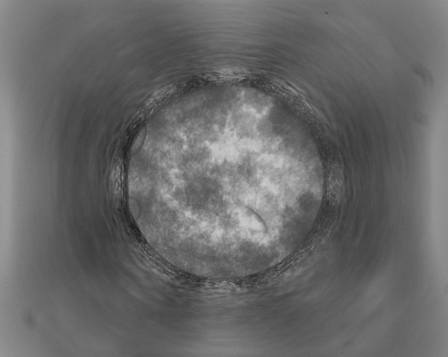 X0000111200866200908121108