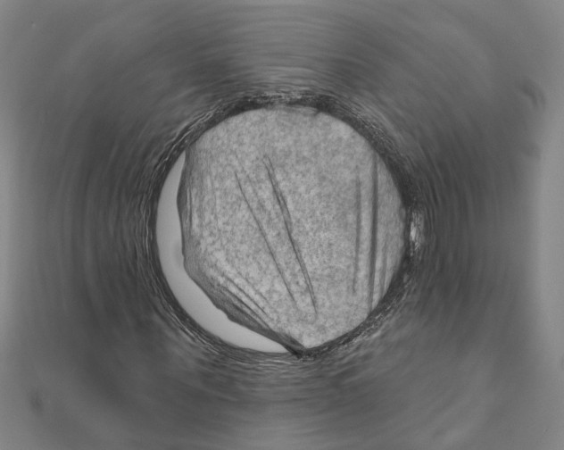 X0000111200867200908121108