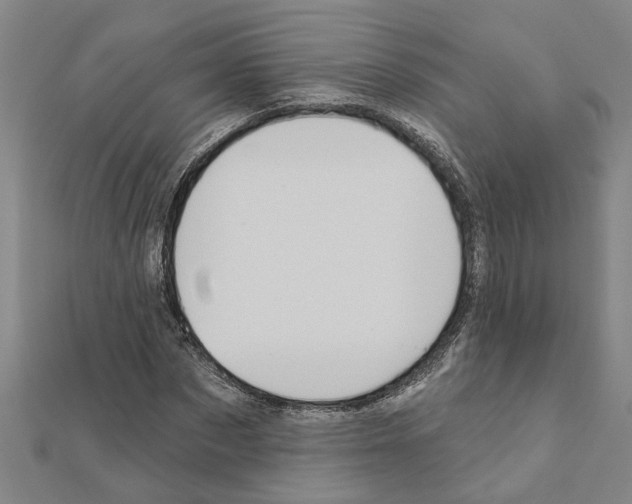 X0000111200873200908121108