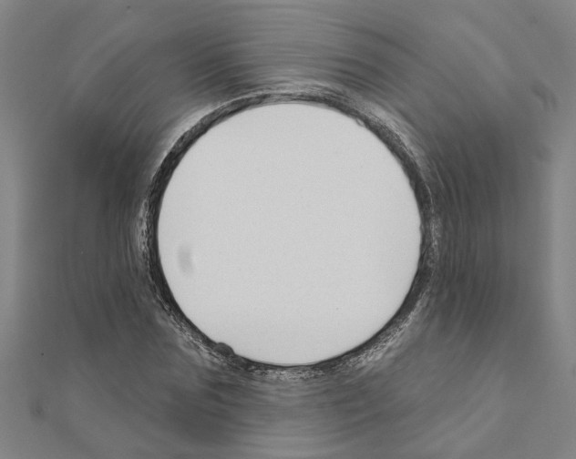 X0000111200875200908121108