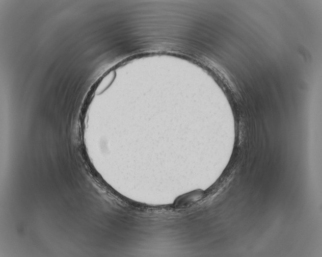 X0000111200876200908121108