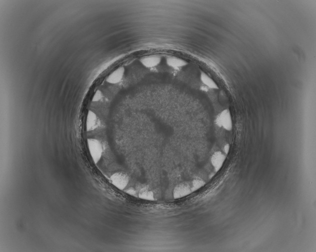 X0000111200879200908121108