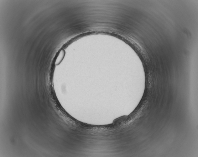 X0000111200880200908121108