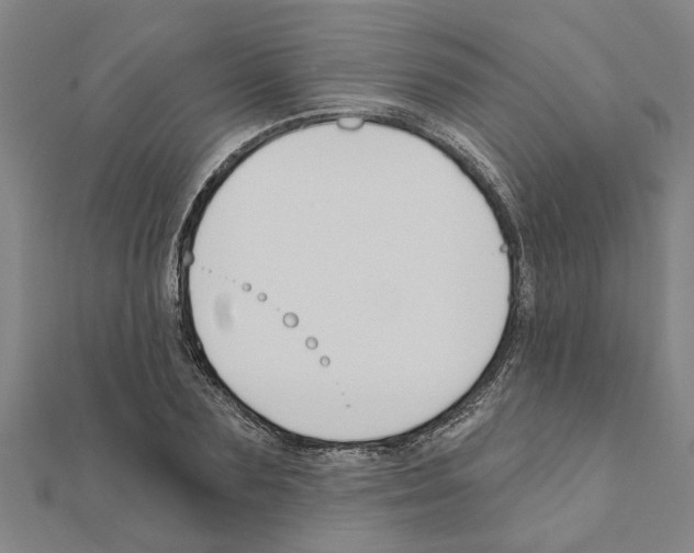 X0000111200883200908121108