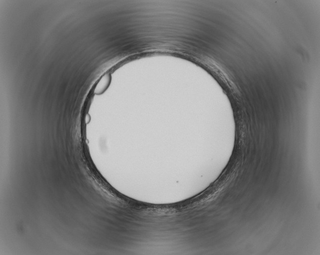 X0000111200884200908121108