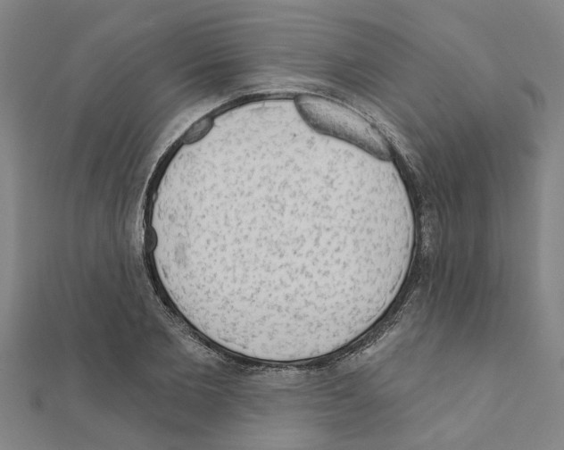 X0000111200885200908121108