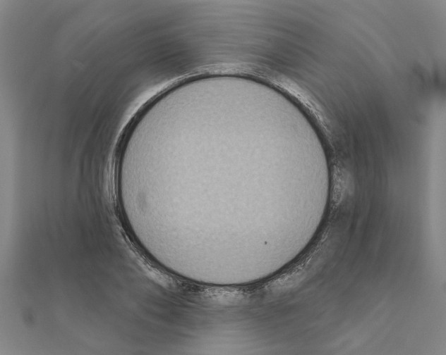 X0000111200886200908121108