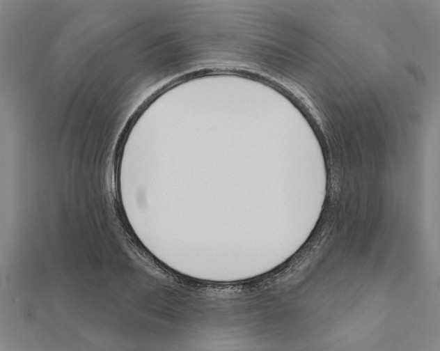 X0000111200887200908121108