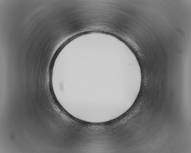 X0000111200888200908121108