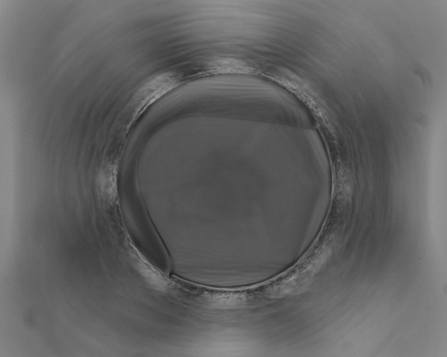 X0000111200889200908121108