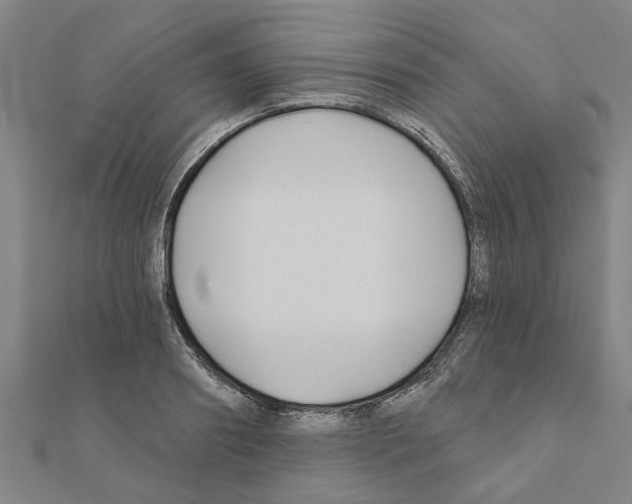 X0000111200890200908121108