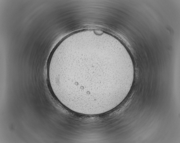 X0000111200891200908121108