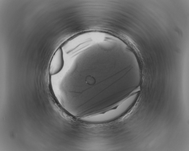 X0000111200892200908121108