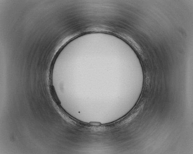 X0000111200893200908121108