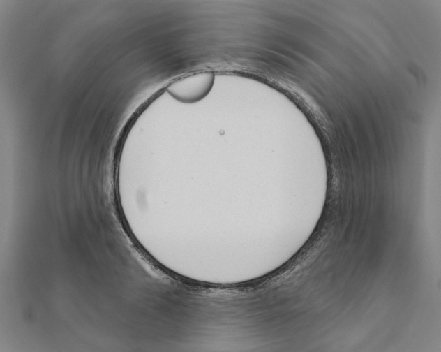 X0000111200894200908121108