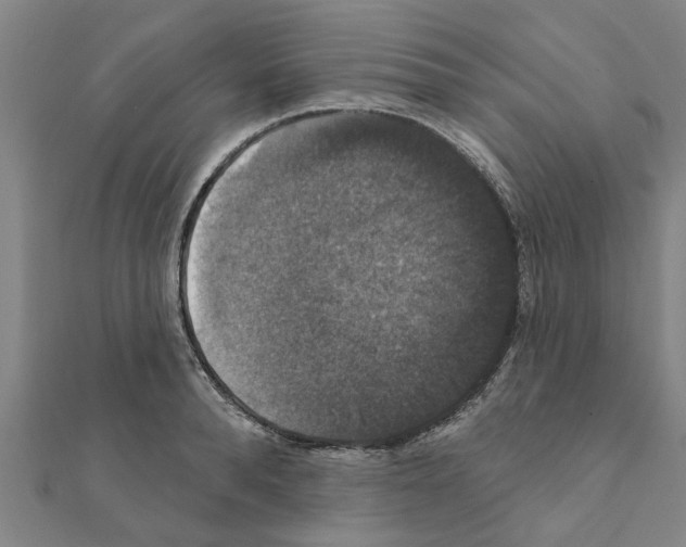 X0000111200896200908121107