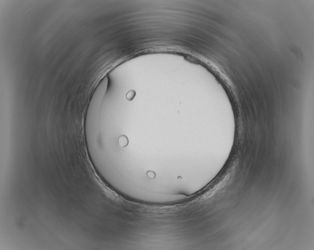 X0000111200897200908121107