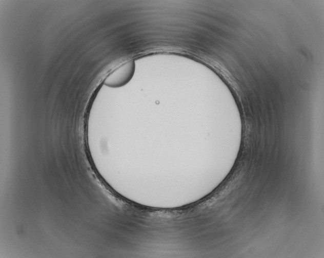 X0000111200898200908121107