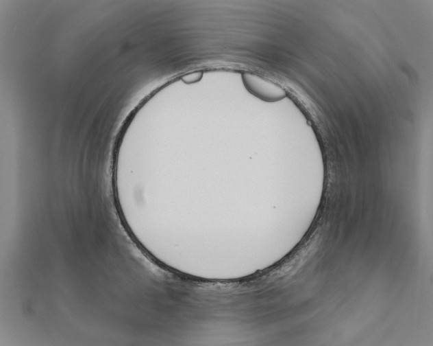 X0000111200902200908121107