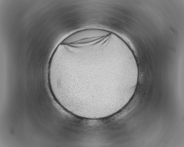 X0000111200903200908121107