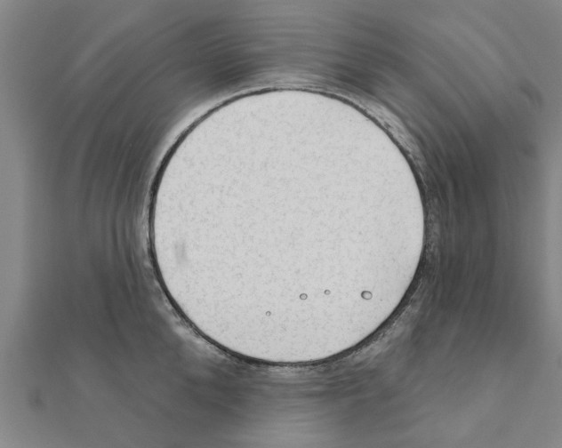 X0000111200904200908121107