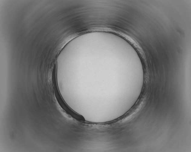 X0000111200905200908121107