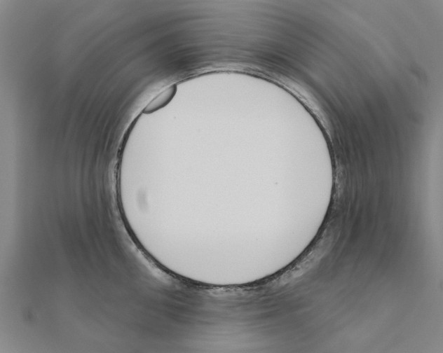 X0000111200906200908121107