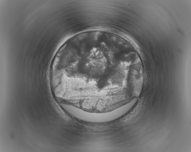 X0000111200907200908121107